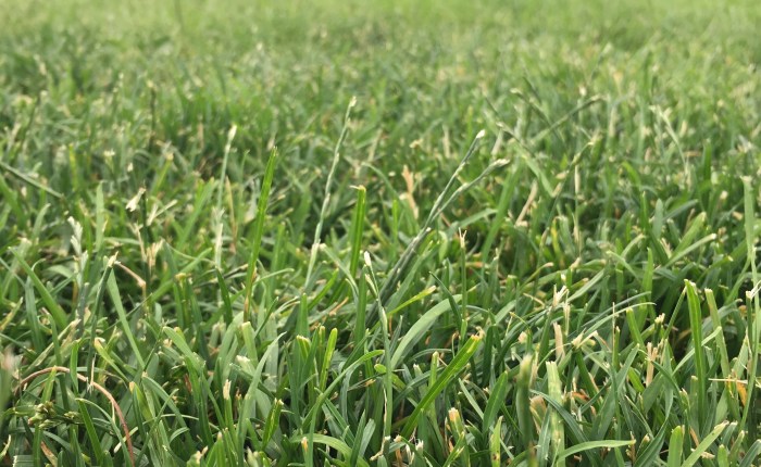 The Grass is Always Greener: Satisfaction when you have Unlimited&nbsp;Options