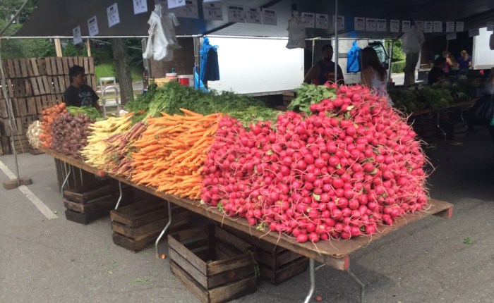 What do you do with 1,000&nbsp;Radishes?
